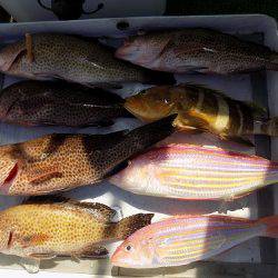 フィッシングボート空風(そらかぜ) 釣果