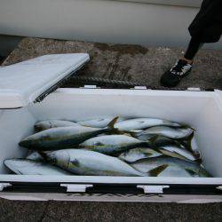 オーシャンズ　京都 釣果