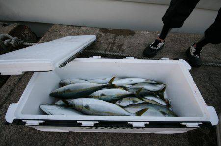 オーシャンズ　京都 釣果