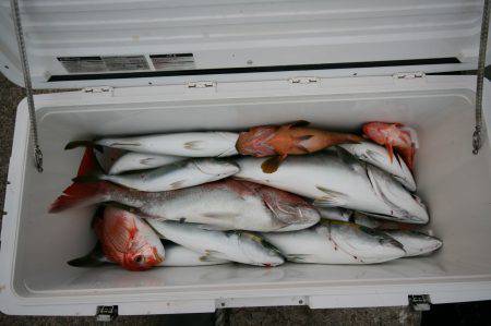 オーシャンズ　京都 釣果