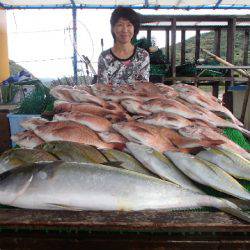 カタタのつり堀 釣果