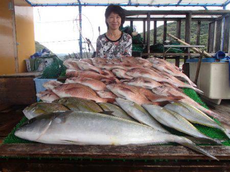 カタタのつり堀 釣果