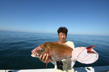オーシャンズ　京都 釣果