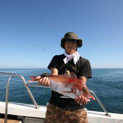 オーシャンズ　京都 釣果