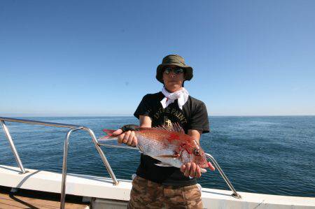 オーシャンズ　京都 釣果