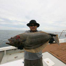 オーシャンズ　京都 釣果