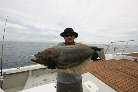 オーシャンズ　京都 釣果