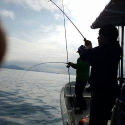 Magic(マジック) 釣果