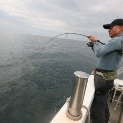 オーシャンズ　京都 釣果