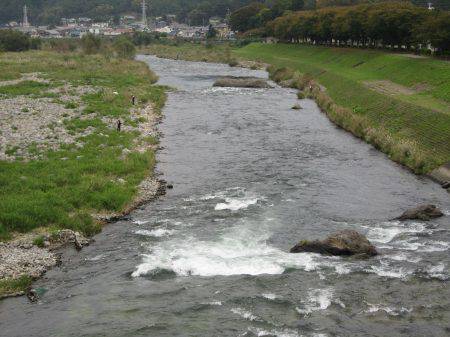 狩野川(狩野川漁業協同組合) 釣果