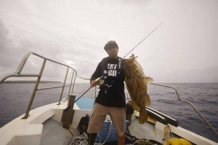 群星・むるぶし 釣果