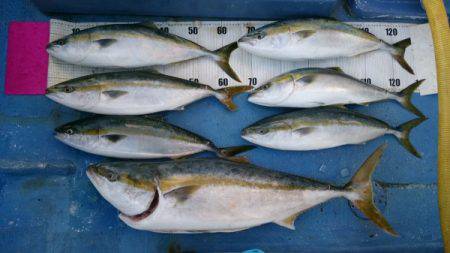 釣り船武蔵 釣果