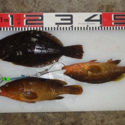 のとじま臨海公園海づりセンター 釣果