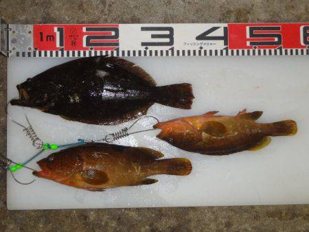 のとじま臨海公園海づりセンター 釣果