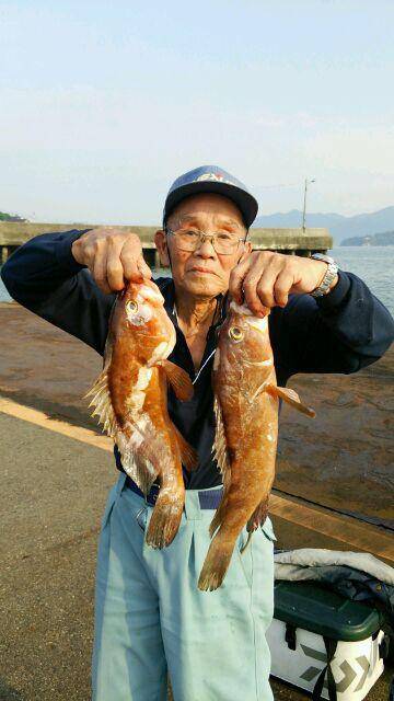 釣り船くわだ 釣果