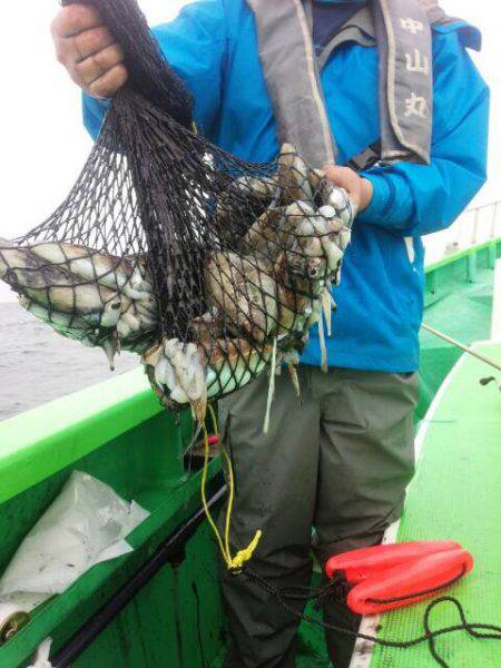 中山丸 釣果