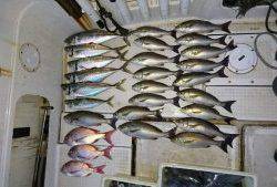 さぶろう丸 釣果