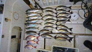 さぶろう丸 釣果