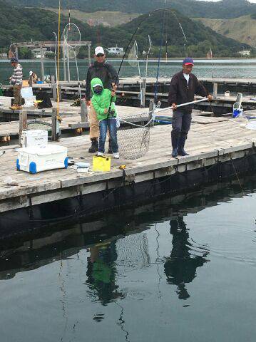 由良海上釣り堀 海人 釣果