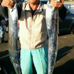 釣り船くわだ 釣果