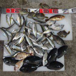 のとじま臨海公園海づりセンター 釣果