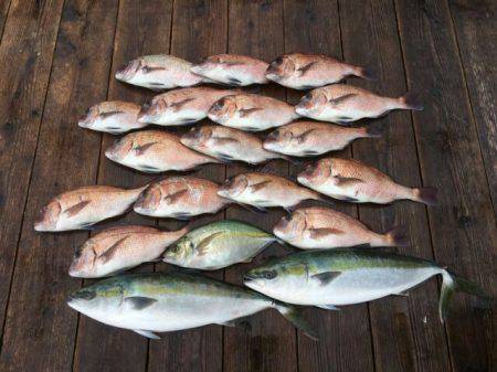 由良海上釣り堀 海人 釣果