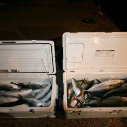 オーシャンズ　京都 釣果