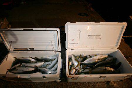 オーシャンズ　京都 釣果