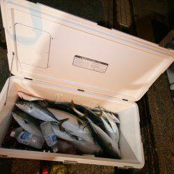 オーシャンズ　京都 釣果