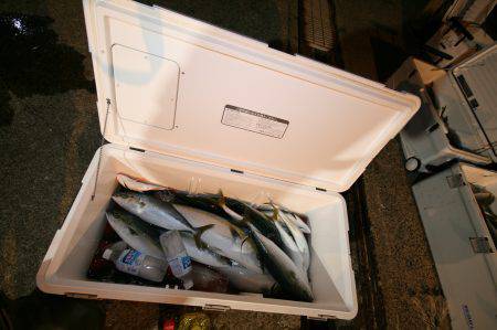 オーシャンズ　京都 釣果