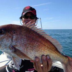 鯛紅丸 釣果
