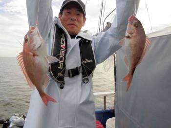 鯛紅丸 釣果
