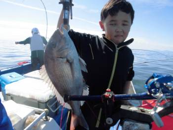 鯛紅丸 釣果