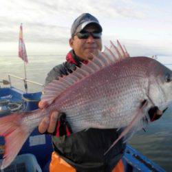 鯛紅丸 釣果