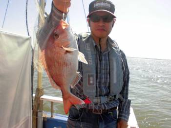 鯛紅丸 釣果