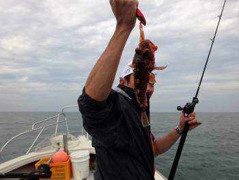 鯛紅丸 釣果