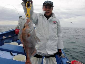 鯛紅丸 釣果