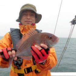 鯛紅丸 釣果