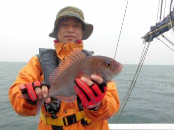 鯛紅丸 釣果