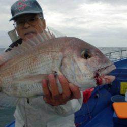 鯛紅丸 釣果