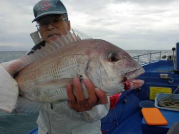 鯛紅丸 釣果