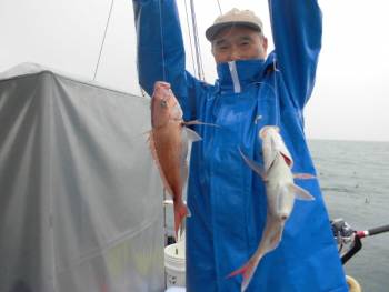鯛紅丸 釣果