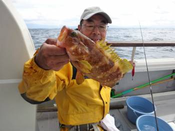 鯛紅丸 釣果