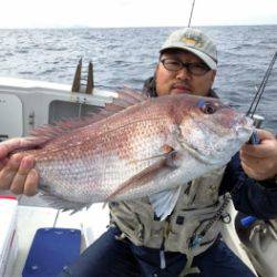 鯛紅丸 釣果