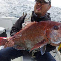 鯛紅丸 釣果