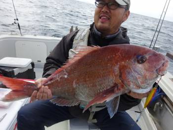 鯛紅丸 釣果