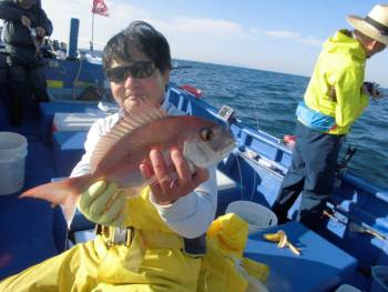鯛紅丸 釣果
