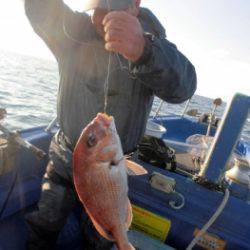 鯛紅丸 釣果