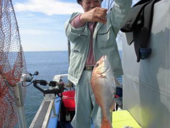 鯛紅丸 釣果