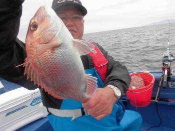 鯛紅丸 釣果